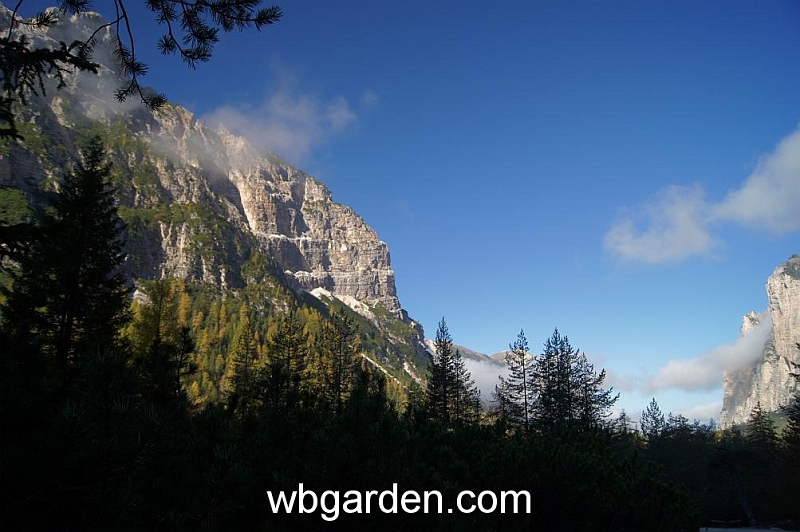 wbgarden alps 2.JPG